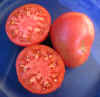 Tomato Caspian Pink 3.jpg (75788 bytes)