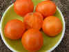 Tomato Valencia Gatard.JPG (13085 bytes)