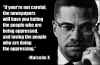 Malcom X.jpg (80055 bytes)