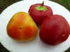 Pepper Sweet 'Alma Paprika' Gatard.JPG (9742 bytes)