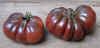 Tomato Purple Calabash.jpg (38277 bytes)